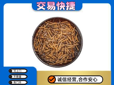 鞍山铁东区回收散虫草